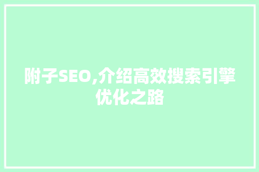附子SEO,介绍高效搜索引擎优化之路