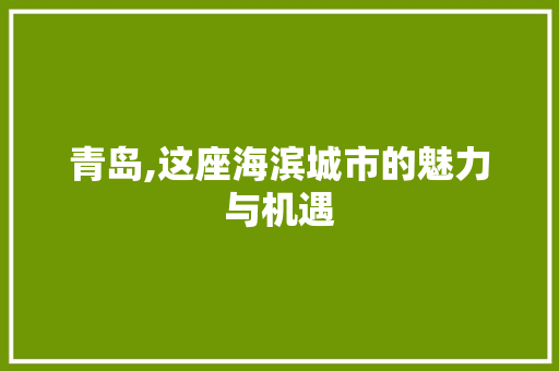 青岛,这座海滨城市的魅力与机遇