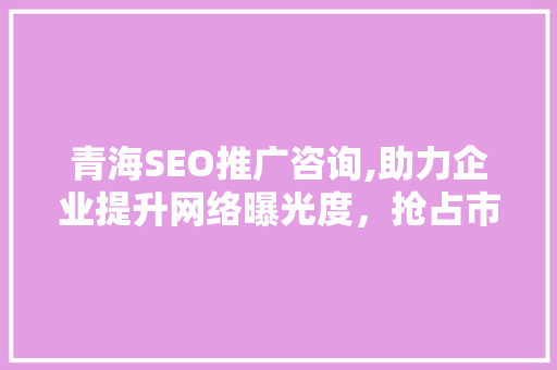 青海SEO推广咨询,助力企业提升网络曝光度，抢占市场先机