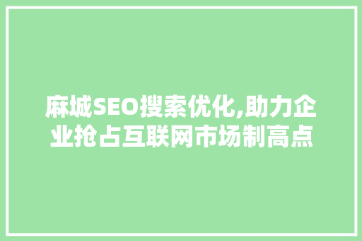 麻城SEO搜索优化,助力企业抢占互联网市场制高点