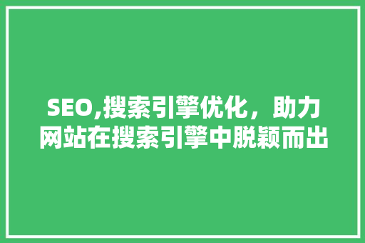 SEO,搜索引擎优化，助力网站在搜索引擎中脱颖而出