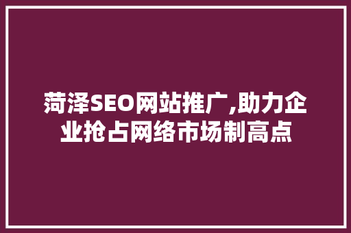 菏泽SEO网站推广,助力企业抢占网络市场制高点