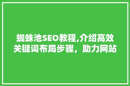 蜘蛛池SEO教程,介绍高效关键词布局步骤，助力网站排名提升