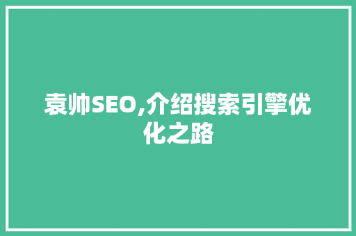 袁帅SEO,介绍搜索引擎优化之路