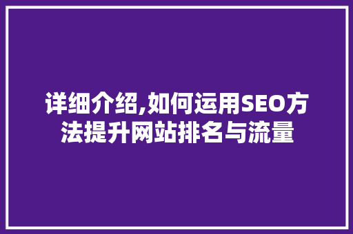 详细介绍,如何运用SEO方法提升网站排名与流量