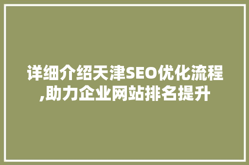 详细介绍天津SEO优化流程,助力企业网站排名提升