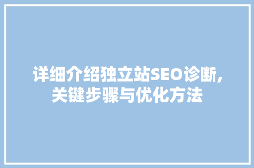 详细介绍独立站SEO诊断,关键步骤与优化方法