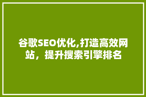 谷歌SEO优化,打造高效网站，提升搜索引擎排名