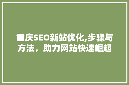 重庆SEO新站优化,步骤与方法，助力网站快速崛起
