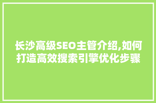长沙高级SEO主管介绍,如何打造高效搜索引擎优化步骤