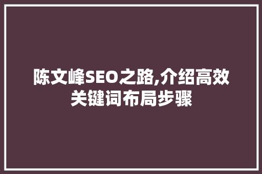 陈文峰SEO之路,介绍高效关键词布局步骤