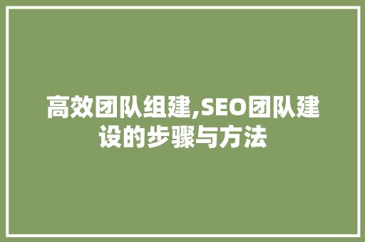 高效团队组建,SEO团队建设的步骤与方法