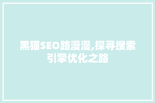 黑猫SEO路漫漫,探寻搜索引擎优化之路