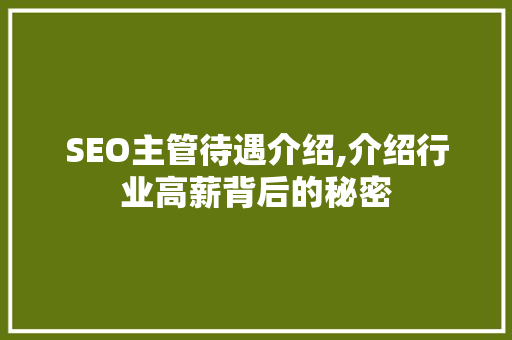 SEO主管待遇介绍,介绍行业高薪背后的秘密