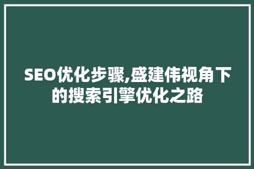 SEO优化步骤,盛建伟视角下的搜索引擎优化之路