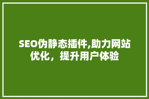 SEO伪静态插件,助力网站优化，提升用户体验