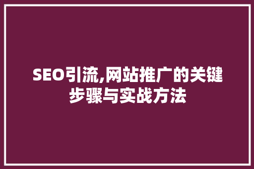 SEO引流,网站推广的关键步骤与实战方法