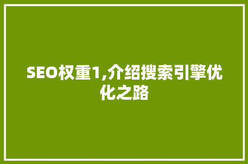 SEO权重1,介绍搜索引擎优化之路