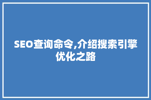 SEO查询命令,介绍搜索引擎优化之路