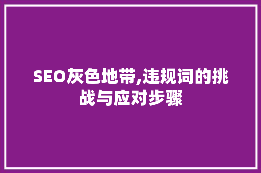 SEO灰色地带,违规词的挑战与应对步骤