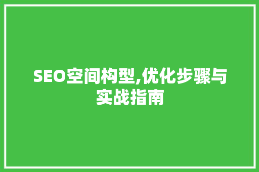 SEO空间构型,优化步骤与实战指南