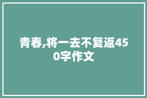 SEO网站优化运营,介绍提升网站排名的秘密武器