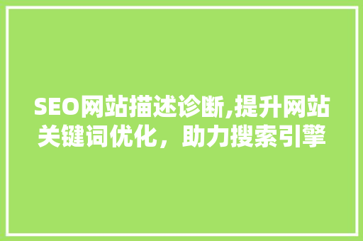 SEO网站描述诊断,提升网站关键词优化，助力搜索引擎排名