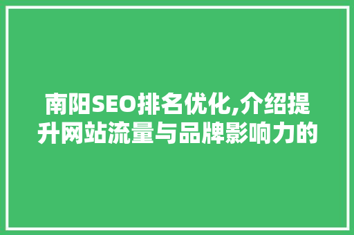 南阳SEO排名优化,介绍提升网站流量与品牌影响力的方法