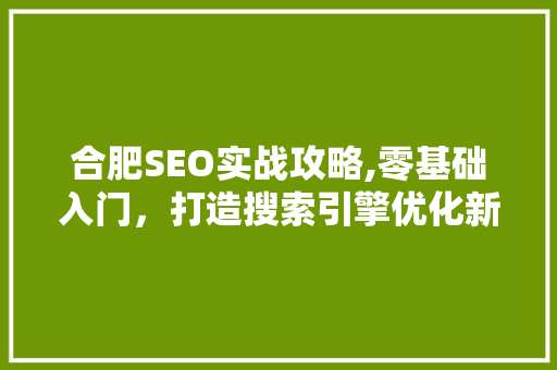 合肥SEO实战攻略,零基础入门，打造搜索引擎优化新篇章