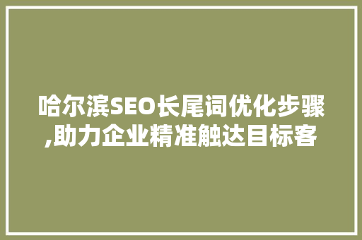 哈尔滨SEO长尾词优化步骤,助力企业精准触达目标客户