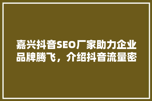 嘉兴抖音SEO厂家助力企业品牌腾飞，介绍抖音流量密码