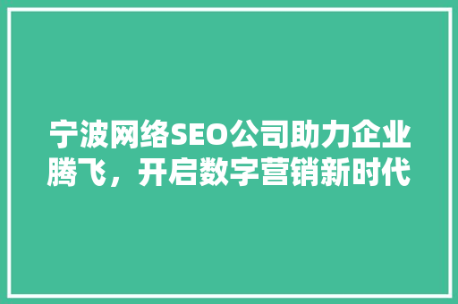 宁波网络SEO公司助力企业腾飞，开启数字营销新时代