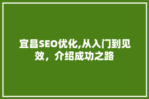 宜昌SEO优化,从入门到见效，介绍成功之路