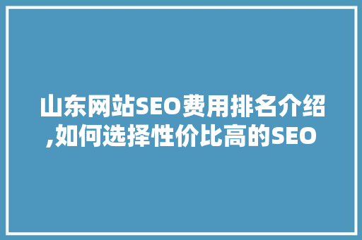 山东网站SEO费用排名介绍,如何选择性价比高的SEO服务