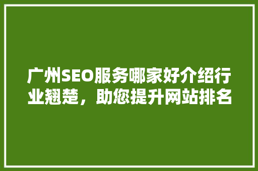 广州SEO服务哪家好介绍行业翘楚，助您提升网站排名
