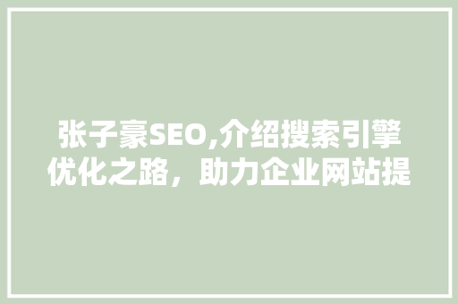 张子豪SEO,介绍搜索引擎优化之路，助力企业网站提升排名