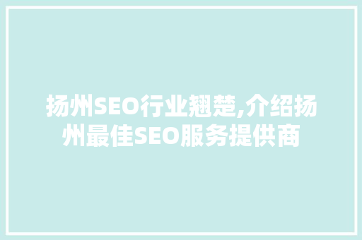 扬州SEO行业翘楚,介绍扬州最佳SEO服务提供商