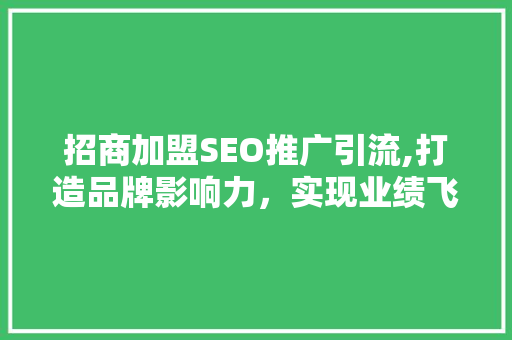 招商加盟SEO推广引流,打造品牌影响力，实现业绩飞跃  第1张