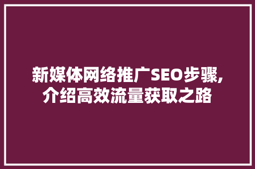 新媒体网络推广SEO步骤,介绍高效流量获取之路