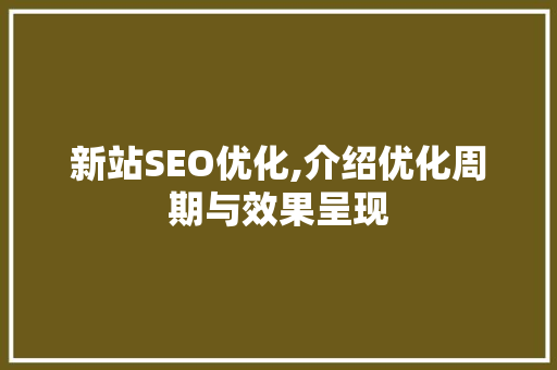 新站SEO优化,介绍优化周期与效果呈现
