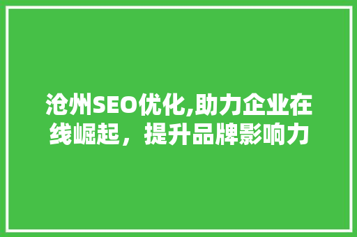 沧州SEO优化,助力企业在线崛起，提升品牌影响力