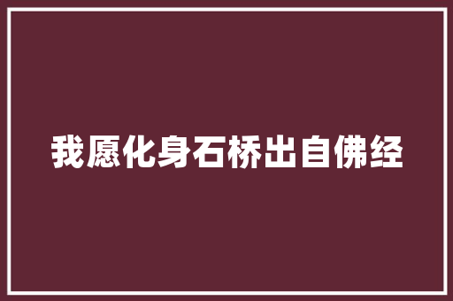 海南SEO优化免费咨询,助力企业网站提升排名，抢占网络市场先机