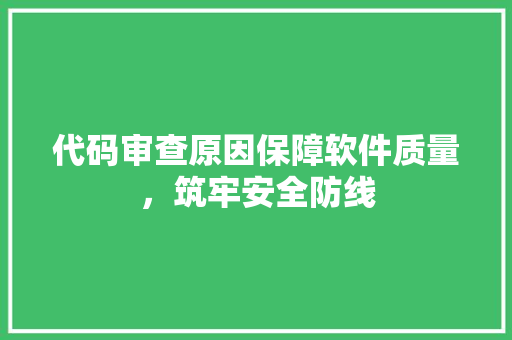 代码审查原因保障软件质量，筑牢安全防线