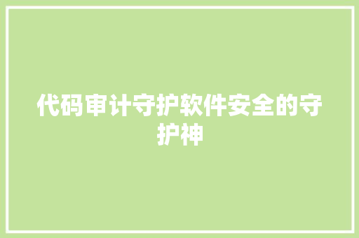 代码审计守护软件安全的守护神