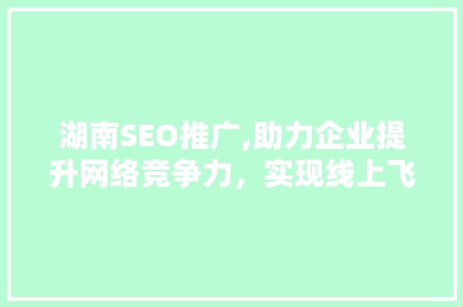 湖南SEO推广,助力企业提升网络竞争力，实现线上飞跃