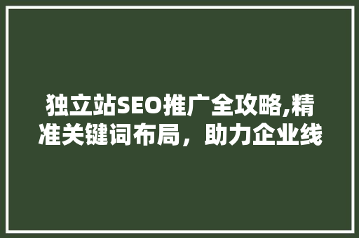 独立站SEO推广全攻略,精准关键词布局，助力企业线上崛起