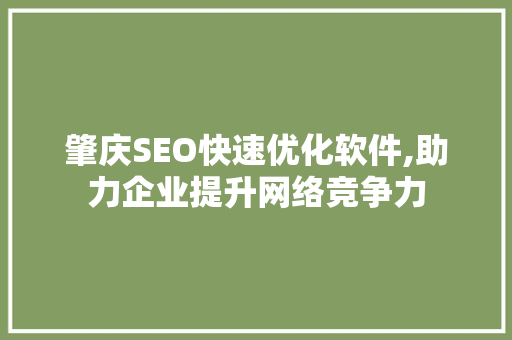 肇庆SEO快速优化软件,助力企业提升网络竞争力