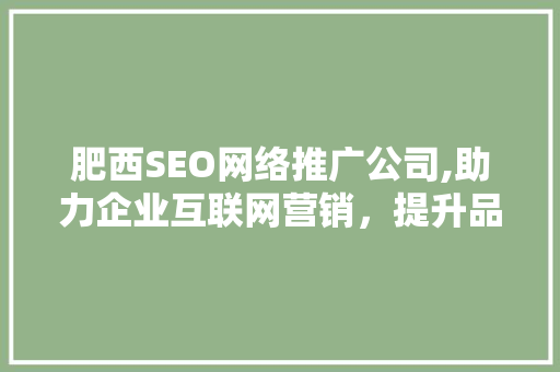 肥西SEO网络推广公司,助力企业互联网营销，提升品牌影响力