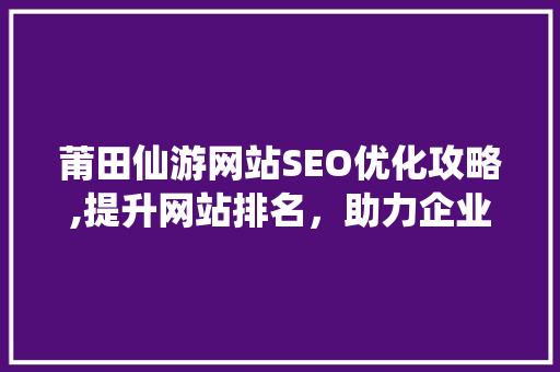 莆田仙游网站SEO优化攻略,提升网站排名，助力企业腾飞