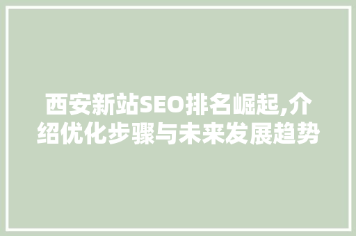 西安新站SEO排名崛起,介绍优化步骤与未来发展趋势